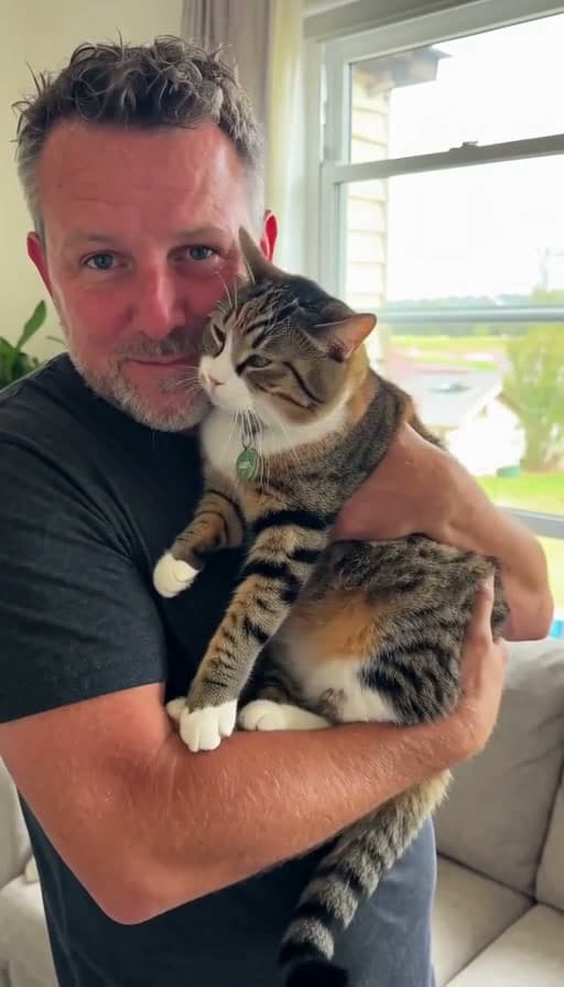 Preview of Cat held up and nuzzled against a cheek